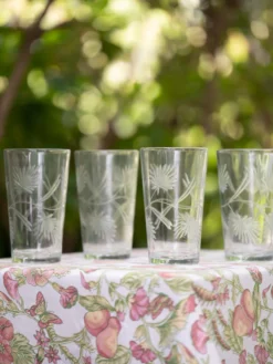 Garden Drinking Glass Set of 4 - Clear