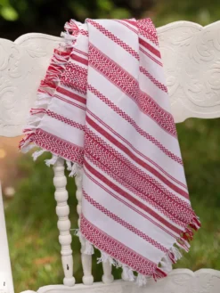 Mingle Stripe Napkin Set of 4 - Red