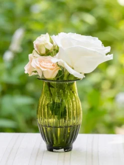 Petite Lyon Vase Set of 2