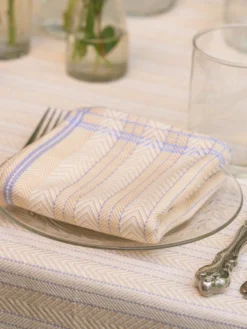 Shaker Jacquard Napkin Set of 4 - Blue