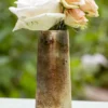 Versailles Vase Set of 2