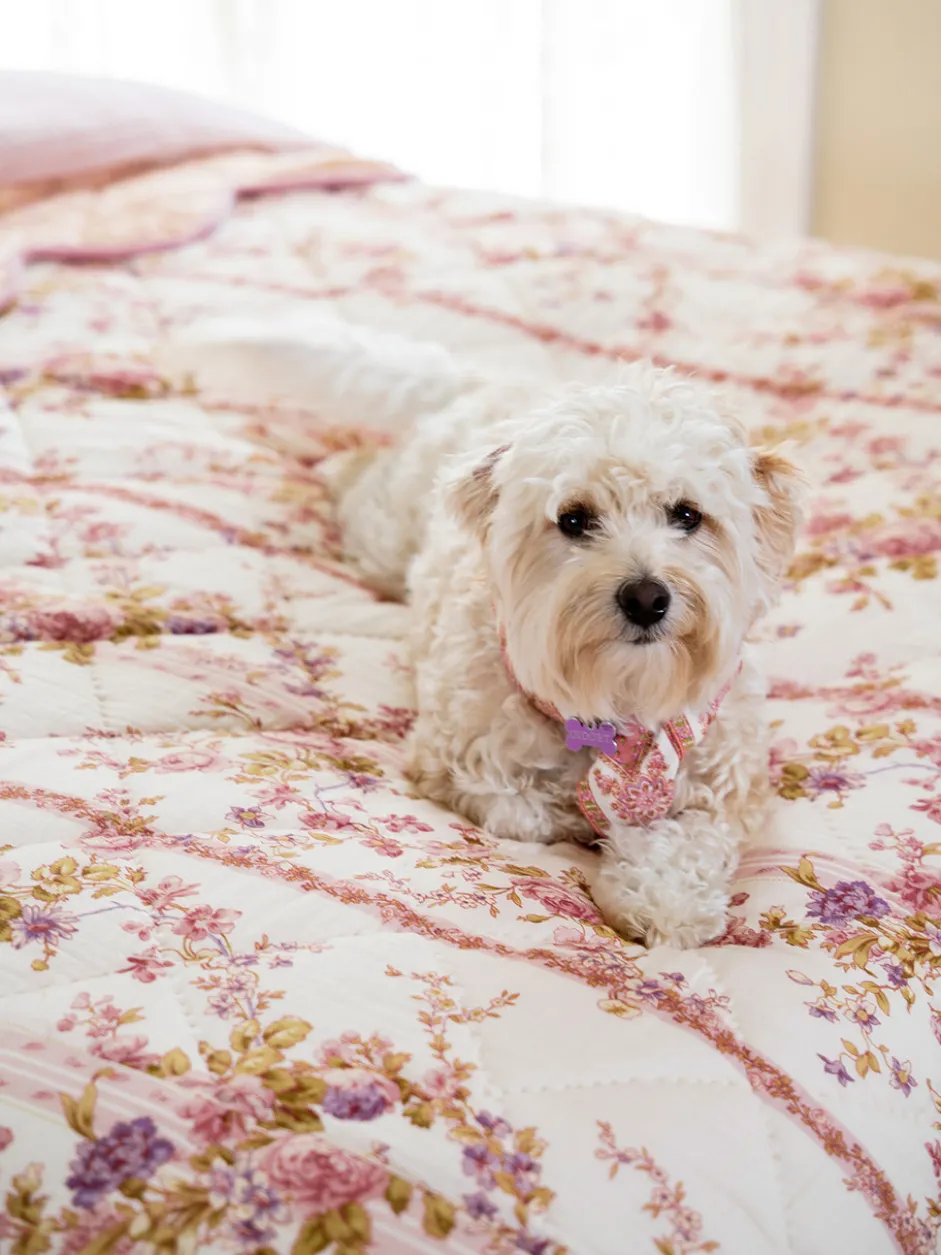 Victoriana Quilt - Antique Rose