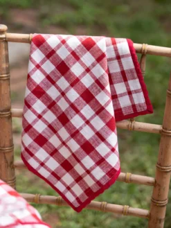 Watermelon Plaid Napkin Set of 4 - Red Natural